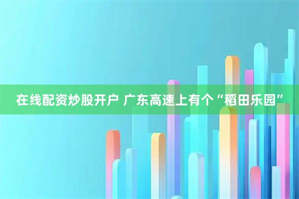 在线配资炒股开户 广东高速上有个“稻田乐园”